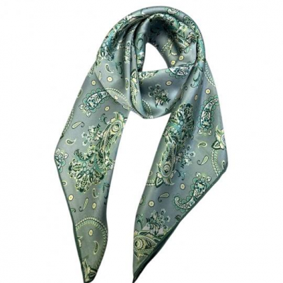 Cs 249 multicouleur